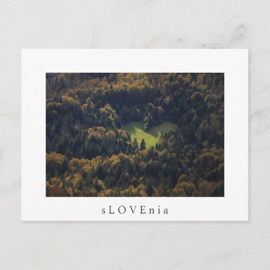 Hartvorm in een bos in Slovenië Briefkaart (Voorkant)