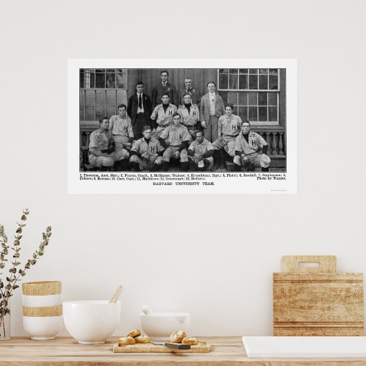 Harvard Baseball Team 1904 Poster (Keuken)