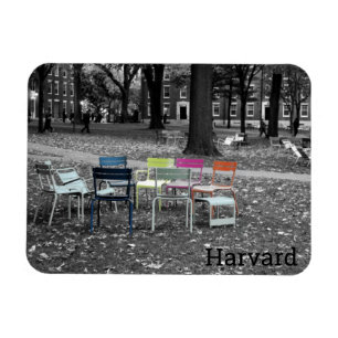 Harvard, Magnet du Massachusetts