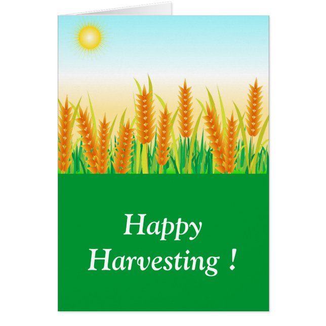 Harvest festival (Voorkant)