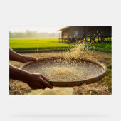 Harvest Grain, Rice Field (Recto)