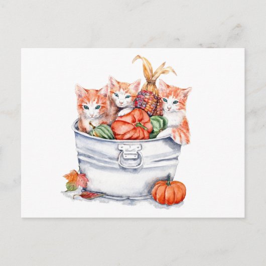 Harvest Kittens Briefkaart (Voorkant)