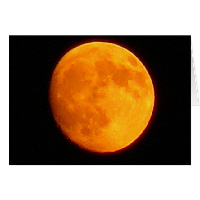 Harvest Moon (Voorkant Horizontaal)