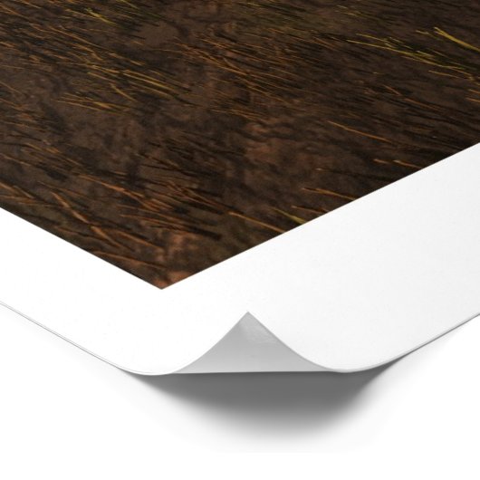 Harvest Moon Poster (Hoek)