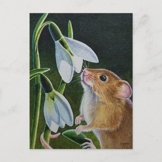 Harvest Mouse Smelling Snowdrops Waterverf Art Po Briefkaart (Voorkant)