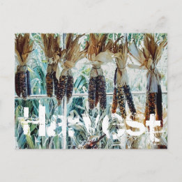 Harvest Season Farmer's Market Briefkaart