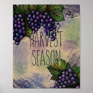 Harvest Season   Paarse druiven Poster