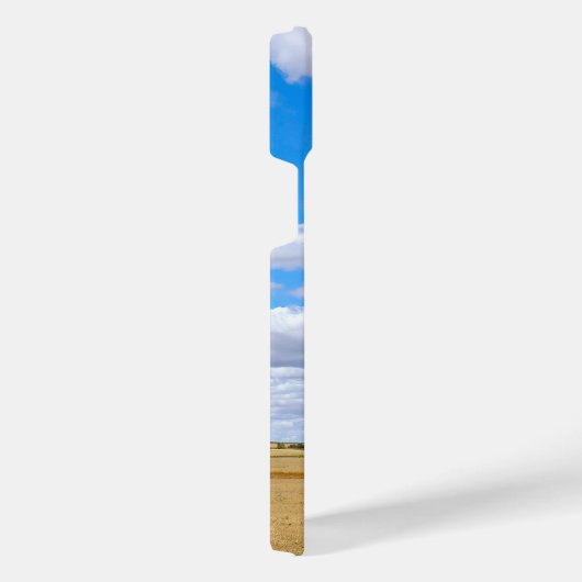 Harvested wheat fields (Côté droit)