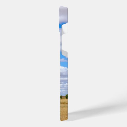 Harvested wheat fields  (Côté gauche)