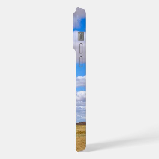 Harvested wheat fields (Côté gauche)