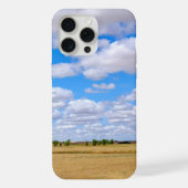 Harvested wheat fields  (Verso)