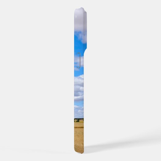 Harvested wheat fields (Côté droit)