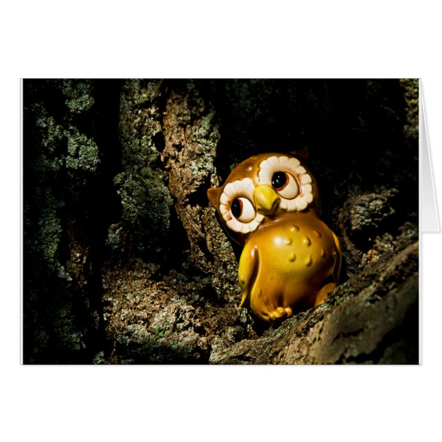 Harvey le hibou I (Devant horizontal)
