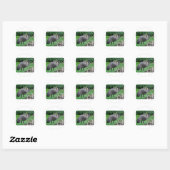 Harvey Ronde Sticker (Vel)