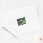 Harvey Ronde Sticker (Envelop)