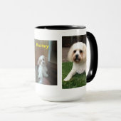 Harvey the Cavahon Mok (Voorkant rechts)