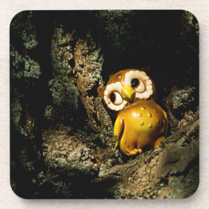 Harvey the Owl I Bier Onderzetter
