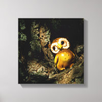 Harvey the Owl I
