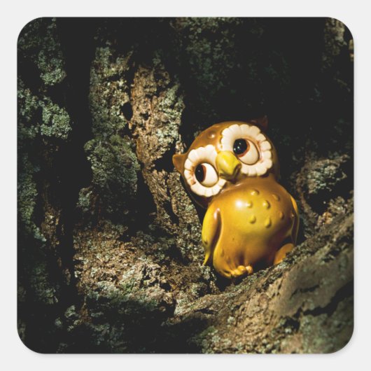 Harvey the Owl I Vierkante Sticker (Voorkant)