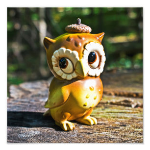 Harvey the Owl III Foto Afdruk