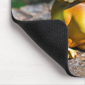 Harvey the Owl III Muismat (Hoek)