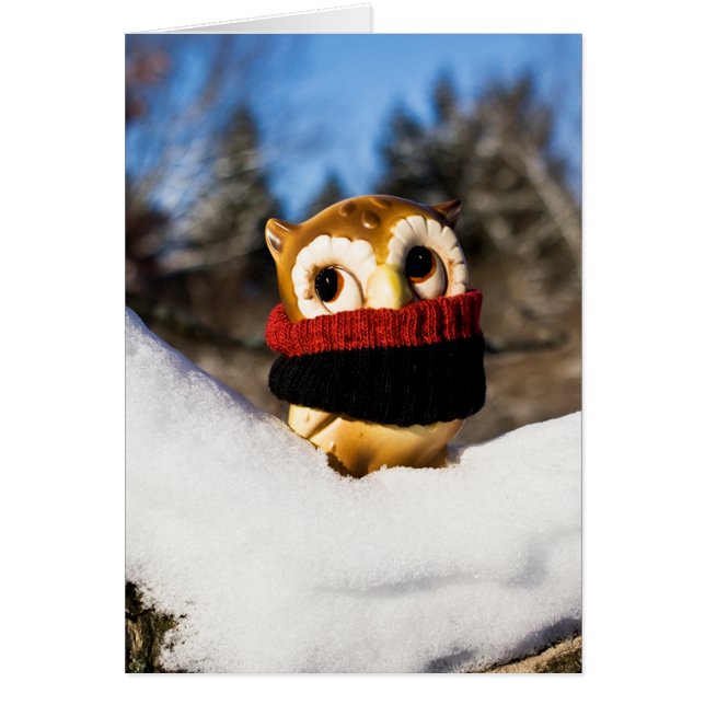 Harvey the Owl IV (Devant)
