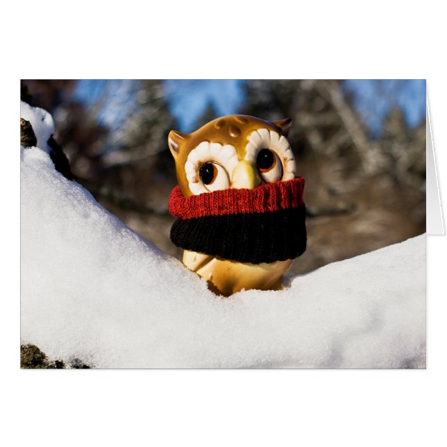 Harvey the Owl IV (Devant Horizontal)