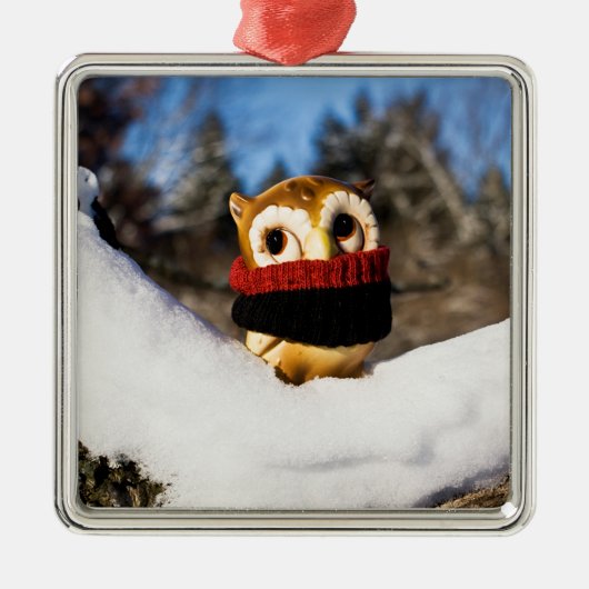 Harvey the Owl IV Metalen Ornament (Voorkant)