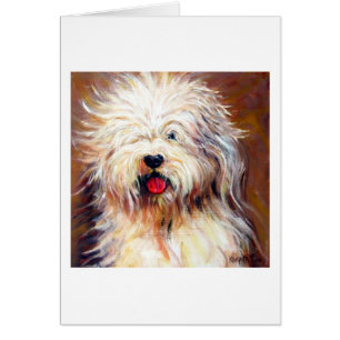 Harvey - vieux chien de moutons anglais