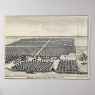 Hastie Vineyard, Californië Poster