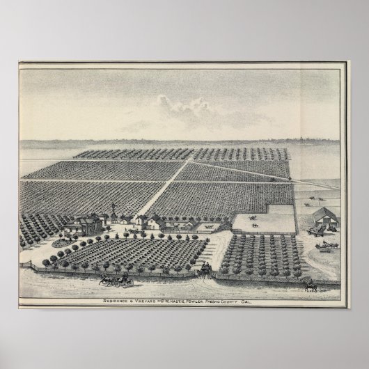 Hastie Vineyard, Californië Poster (Voorkant)