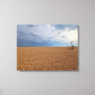 Hastings strand panoramisch uitzicht canvas print