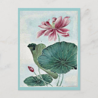 Hasu - lotus / door Megata Morikaga Ukiyo-e. Briefkaart