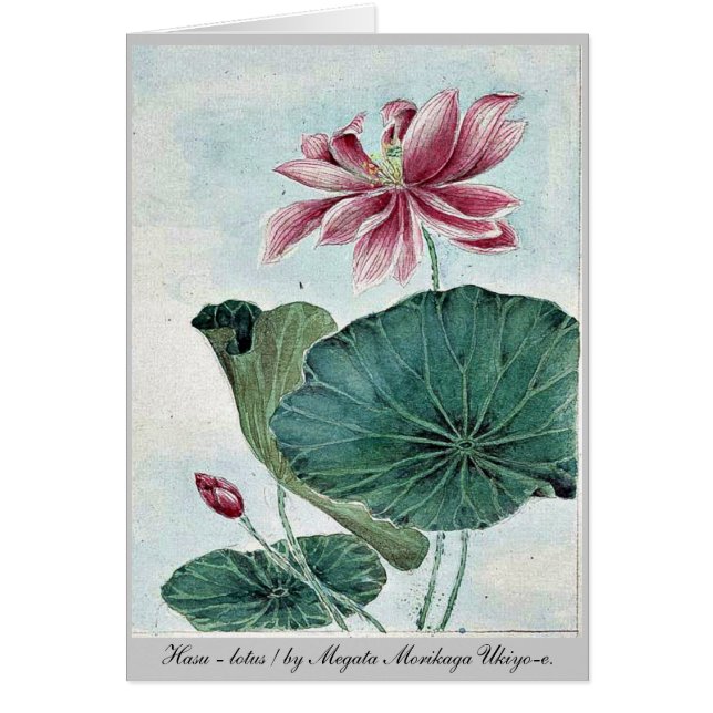 Hasu - lotus/par Megata Morikaga Ukiyo-e. (Devant)