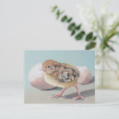 Hatched Chick Bird Art Briefkaart (Staand voorkant)