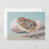 Hatched Chick Bird Art Briefkaart (Voorkant / Achterkant)