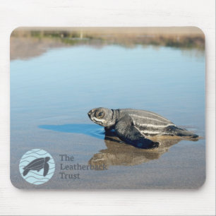 Hatchling Mousepad Muismat