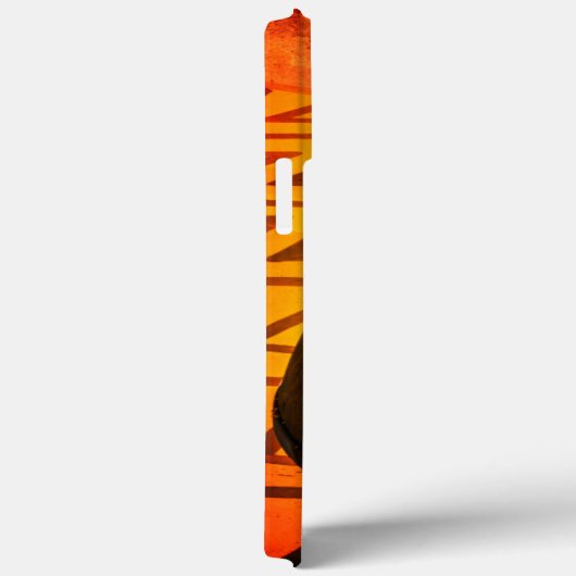 Hate iPhone 13 Pro Max Coque (Verso / Droite)