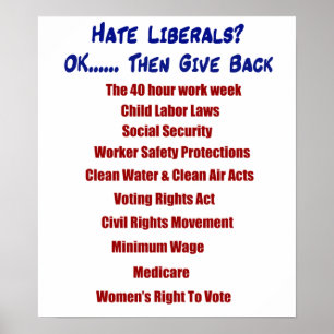 Hate Liberals? Poster