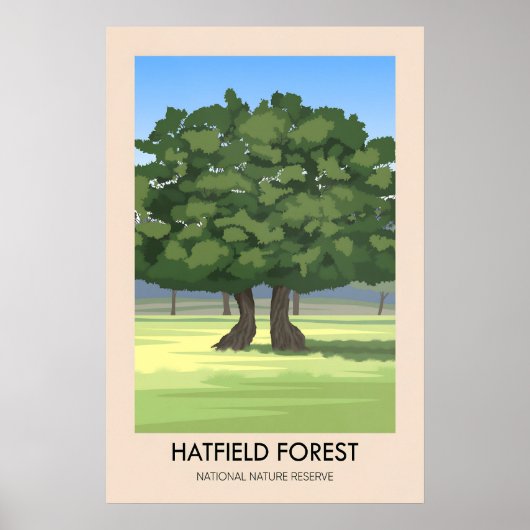 Hatfield Forest Reisposter Poster (Voorkant)