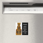 Hathor 3 magneet (Insitu (Vaatwasser))