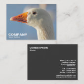 Haughty White Goose Visitekaartje (Voorkant / Achterkant)