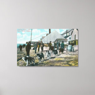 Haulwater met DogsNome, AK Canvas Afdruk