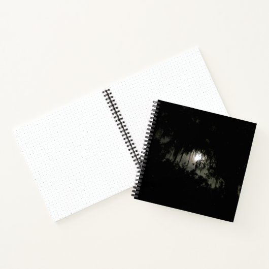 Hauning Dark Night Bullet Journal (Intérieur)