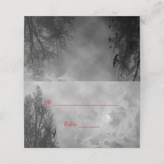 Haunted Moon Sky beroemd gemaakt door Ravens Place (Buitenkant ongevouwen)