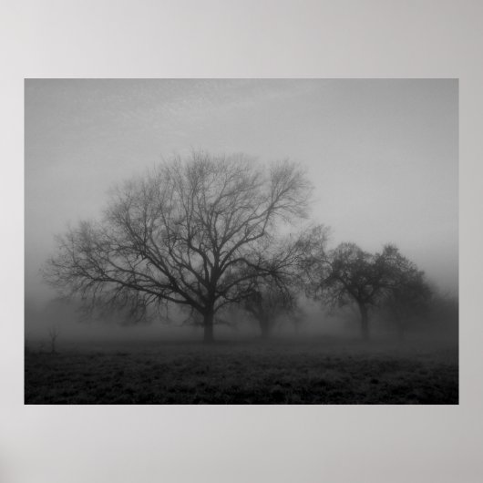 Haunting Fog Canvas Poster (Voorkant)