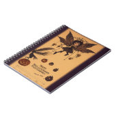 Hauntings Éffrayant Carnet d'Halloween (Côté gauche)