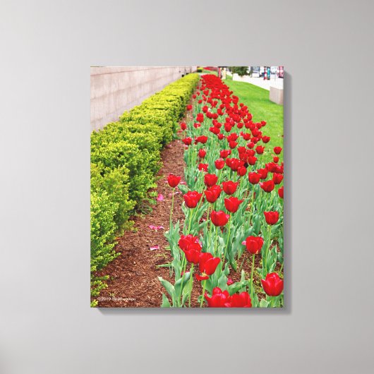 Haupt Bulbs Canvas Afdruk (Voorkant)