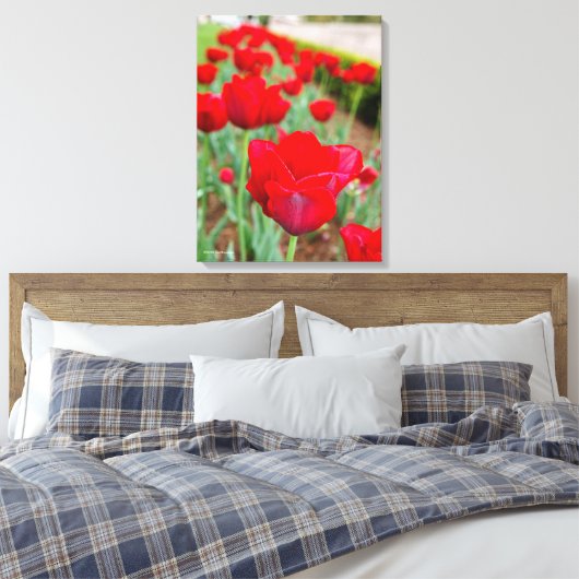 Haupt Bulbs, close-up Canvas Afdruk (Insitu (Slaapkamer))