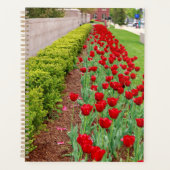 Haupt Bulbs Planner (Voorkant)